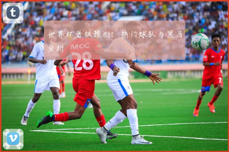 世界杯晋级预测:热门球队与黑马分析